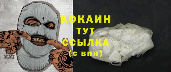 шишки Заводоуковск
