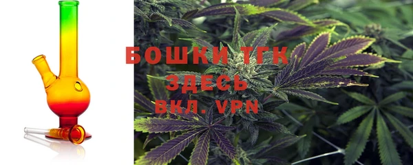 шишки Заводоуковск