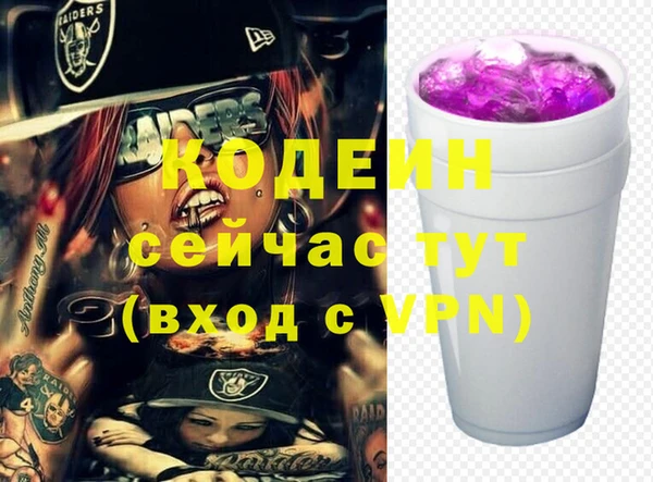 шишки Заводоуковск