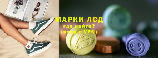 шишки Заводоуковск
