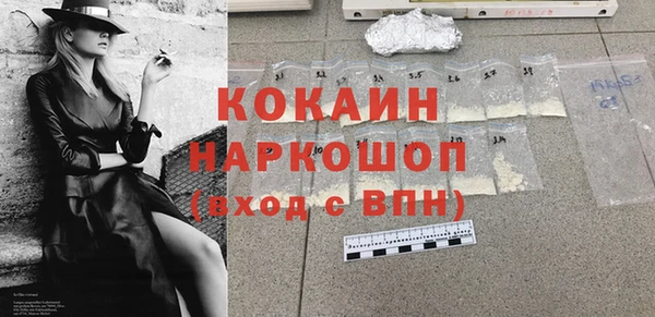 шишки Заводоуковск