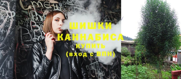 шишки Заводоуковск