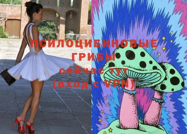 spice Заволжск